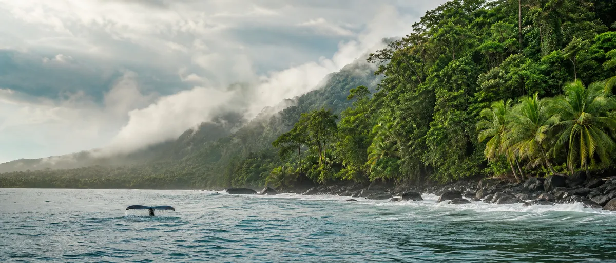 The Colombian Pacific coast